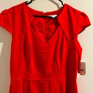 Red Orange New York & Company Dress